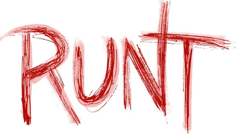 Runt artwork 2