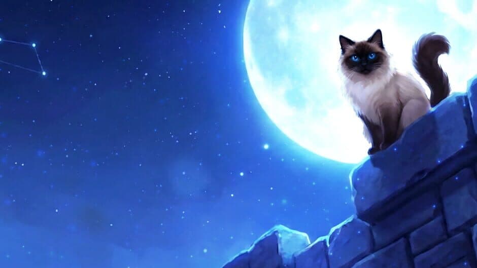Stray Night artwork 1