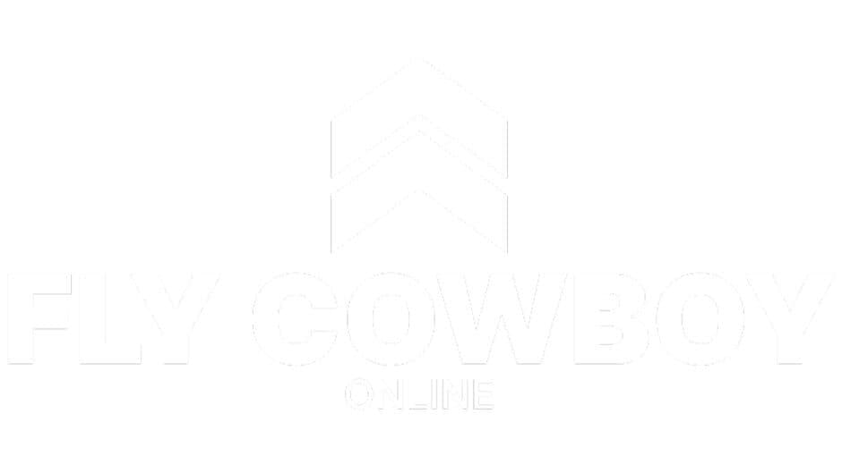 Fly Cowboy Online artwork 2