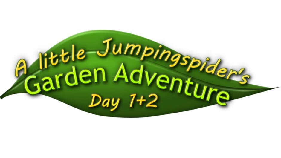 A little Jumpingspider's Garden Adventure (Day 1+2) artwork 2