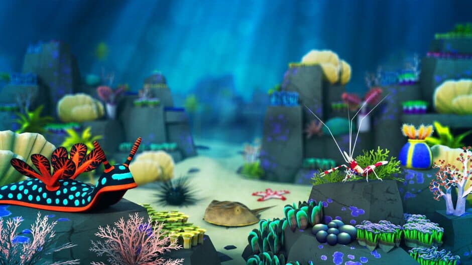Megaquarium: Invertebrilliant Collection artwork 1