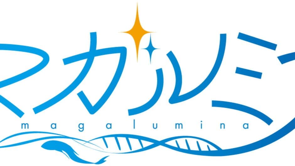 Magalumina artwork 2