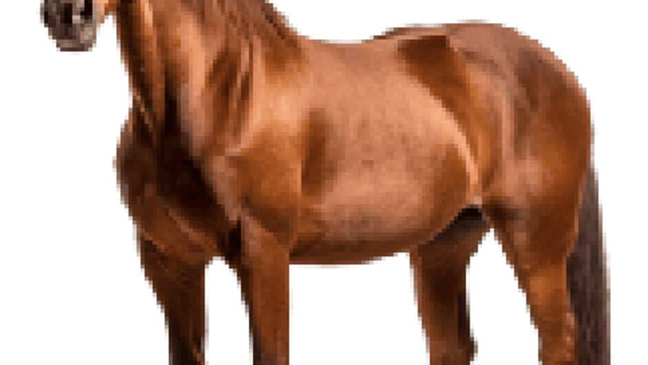 Horse Magnifier artwork 1