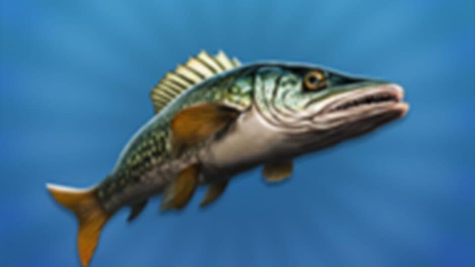 True Fishing 2 artwork 1