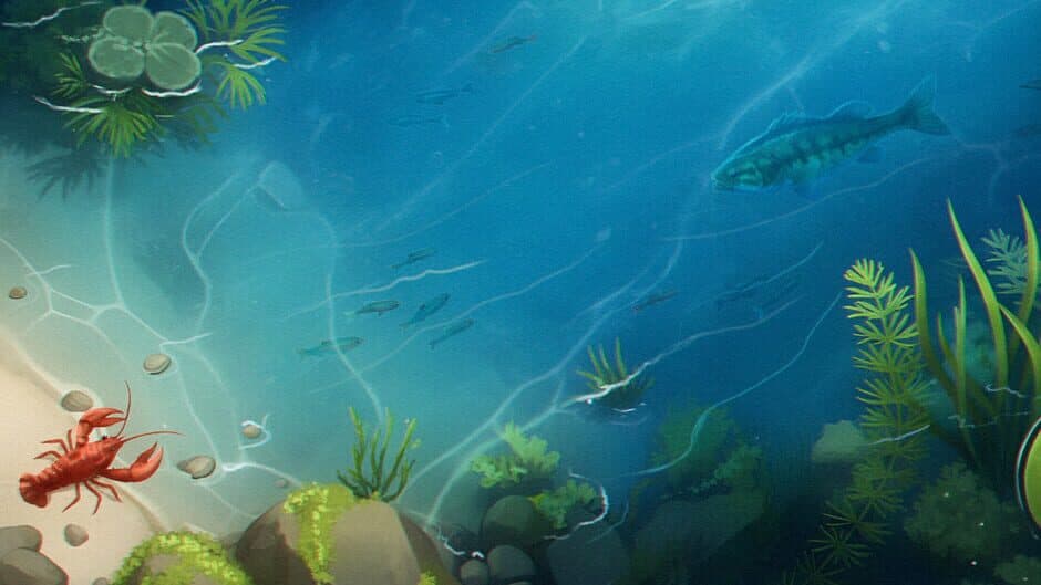 FishPond artwork 1