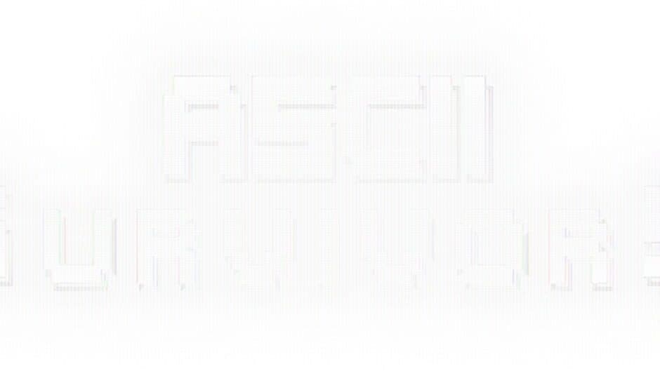 ASCII Survivors artwork 2