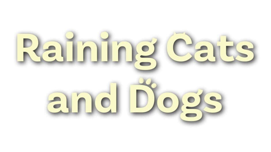 Raining Cats and Dogs artwork 3