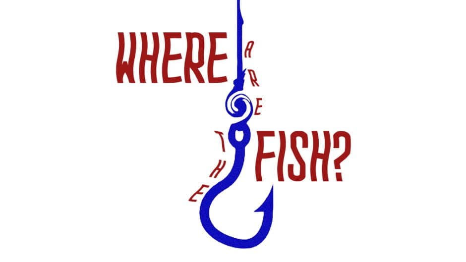 Where Are the Fish? artwork 2