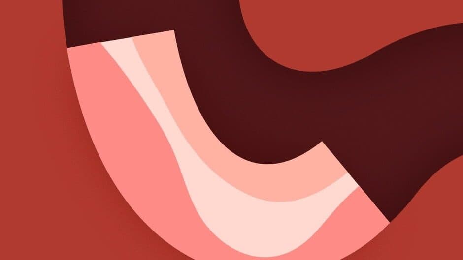 Bacon in Zane artwork 1