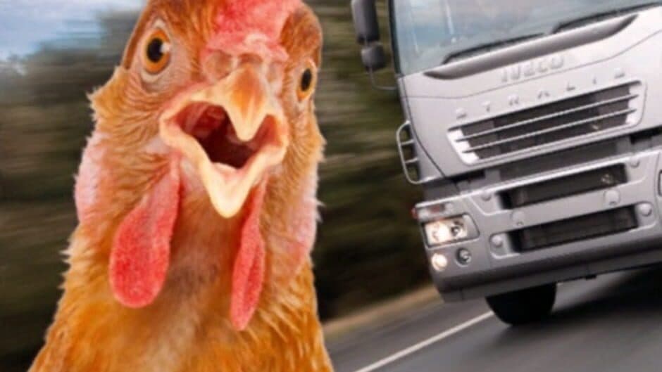 Chicken Royale artwork 1