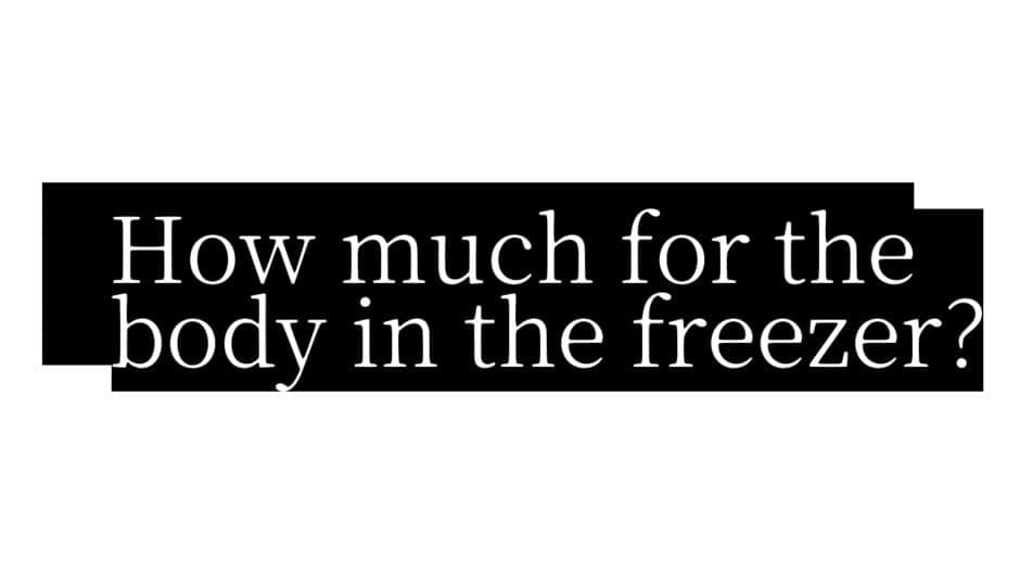 How Much for the Body in the Freezer artwork 2