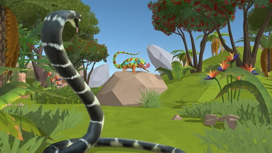 Planet Wow Wildlife Adventure artwork 1