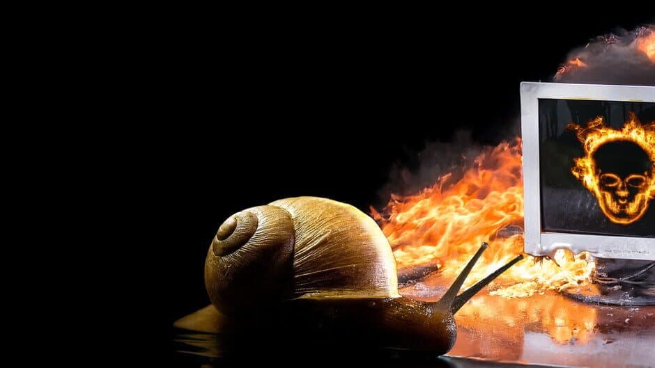 Don't Touch the Snail artwork 1