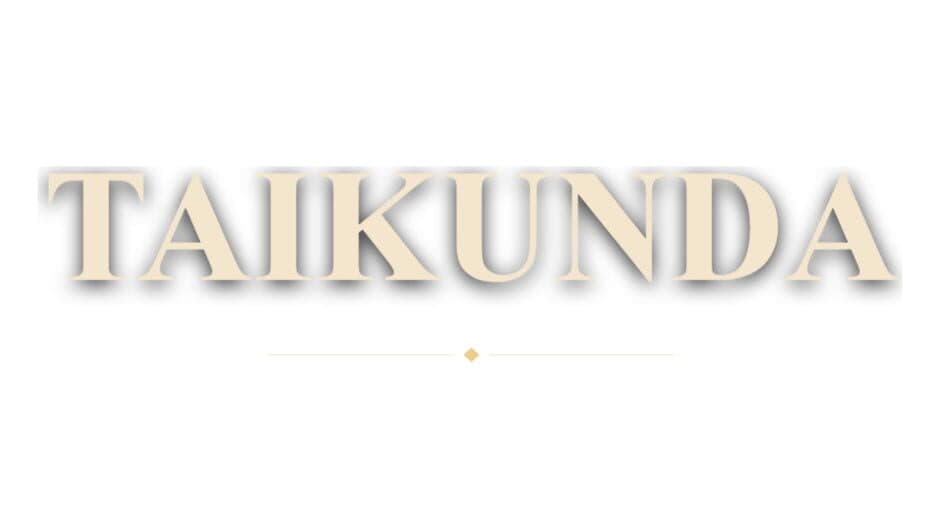 Taikunda artwork 2
