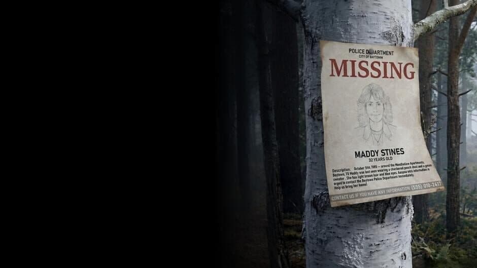 Quiet Evidence: A Detective Mystery Case artwork 2