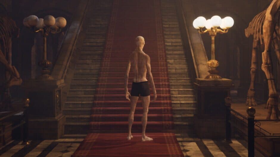 Echoes of the Museum artwork 1