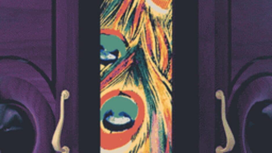 The Dreams in the Peacock House artwork 3