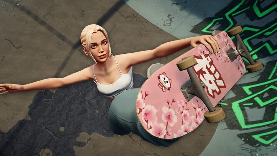 Skatesterre artwork 1
