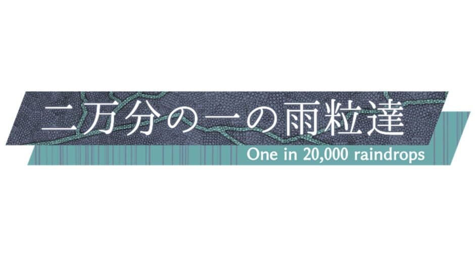 One in 20,000 Raindrops artwork 2