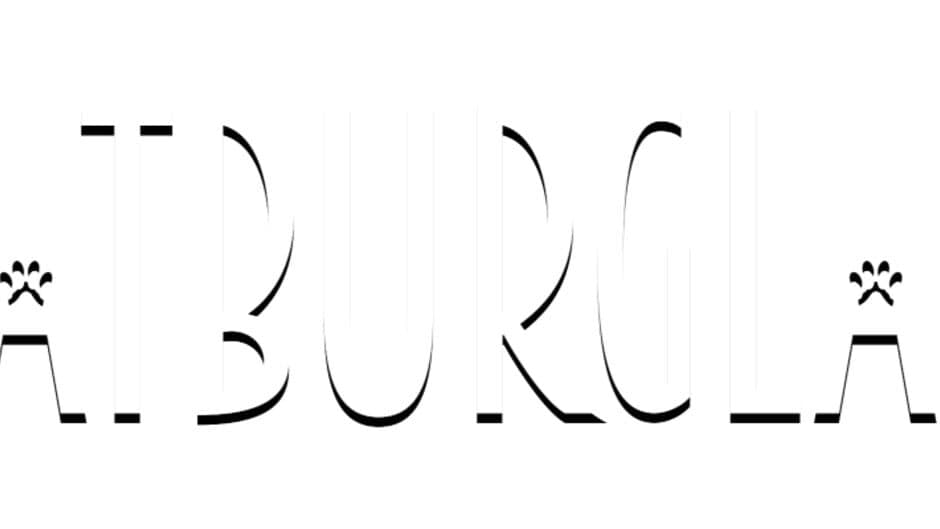 Catburglar artwork 1