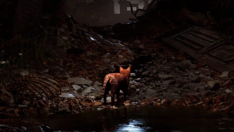 Meowmories artwork 2