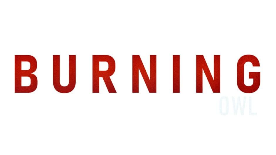 The Burning Owl artwork 2