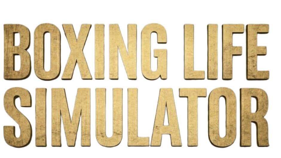 Boxing Life Simulator artwork 2