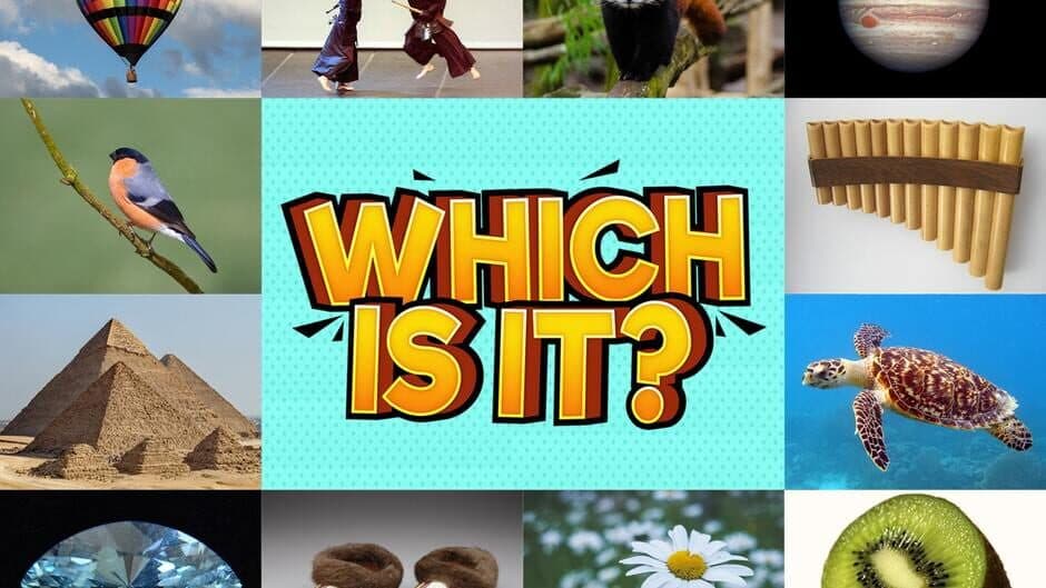 Which Is It? artwork 1