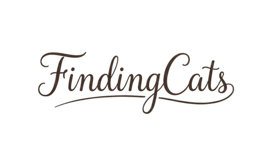 Finding Cats artwork 3