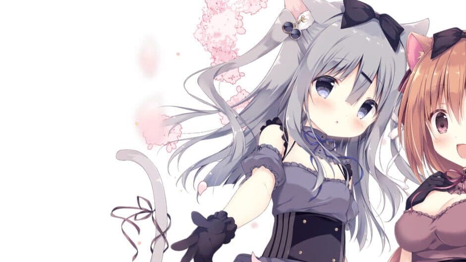 Amairo Chocolate artwork 1