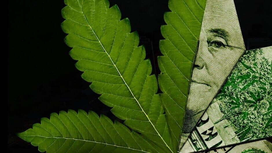 Weed Shop 3 artwork 1