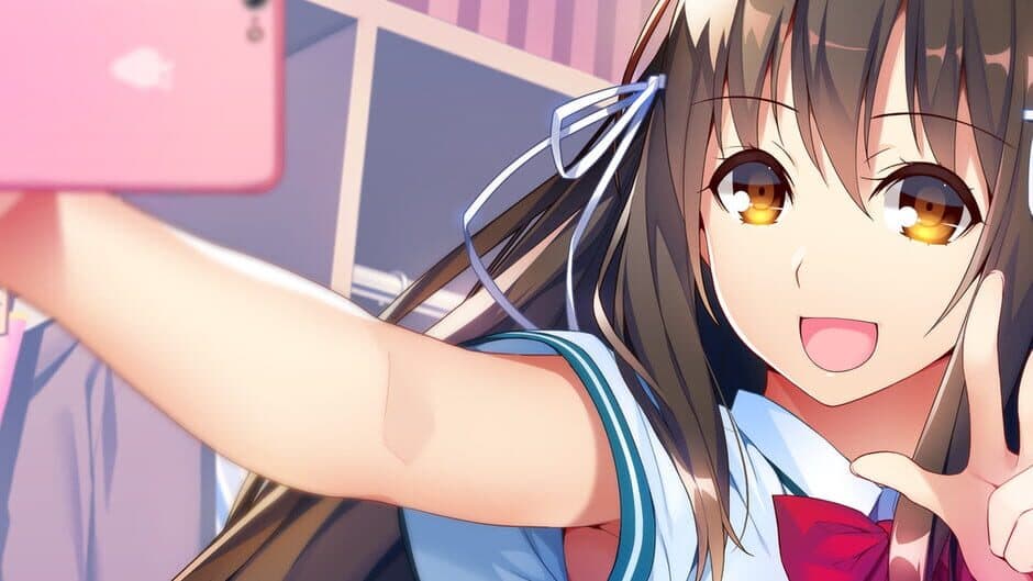 Momoiro Closet artwork 1