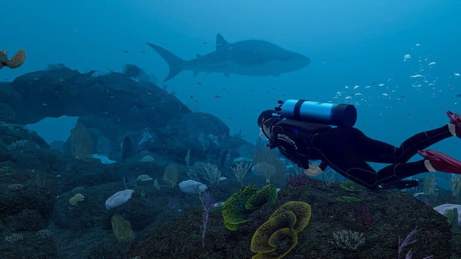 Dive with Sylvia VR artwork 1