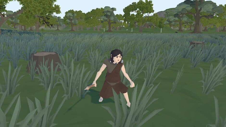 Primitive Survival artwork 1