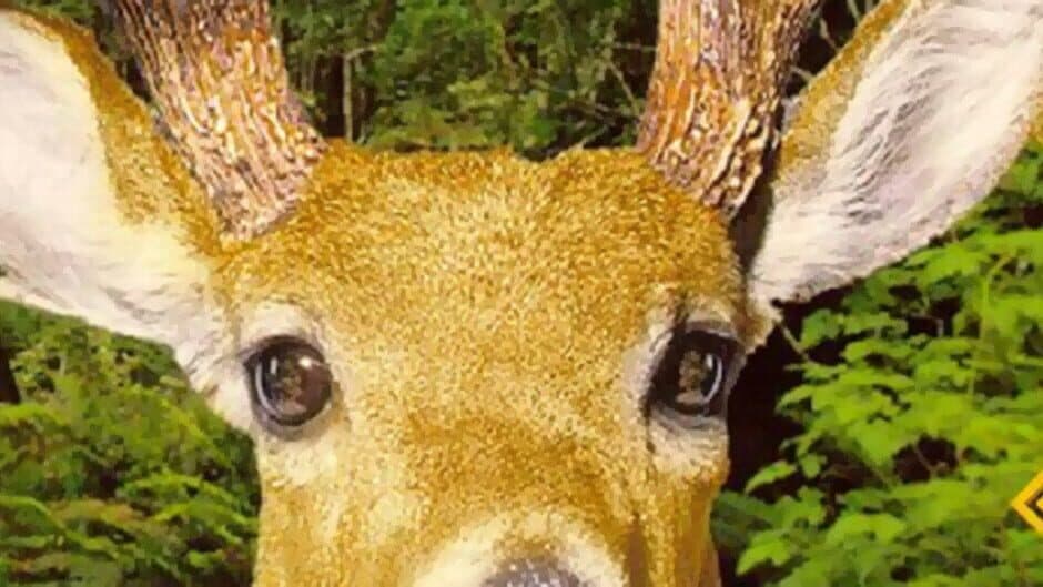 Redneck Deer Huntin' artwork 1