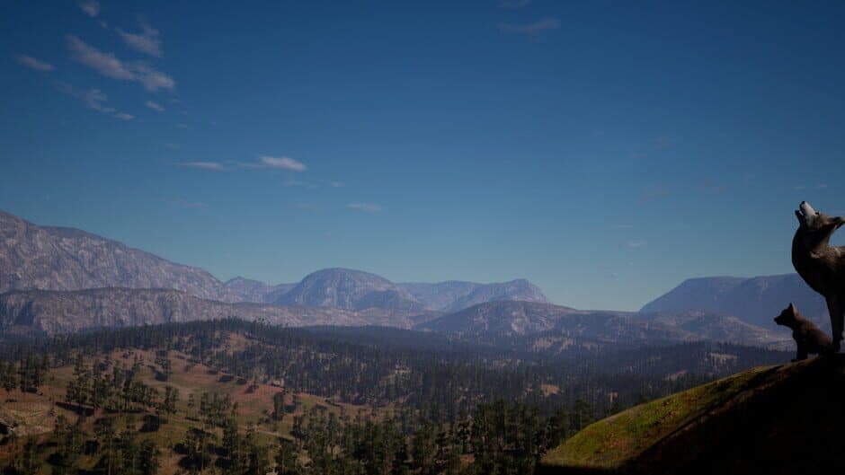 Wilderness artwork 1