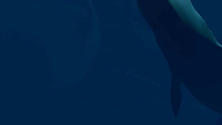 Virtual Arctic Expedition artwork 1