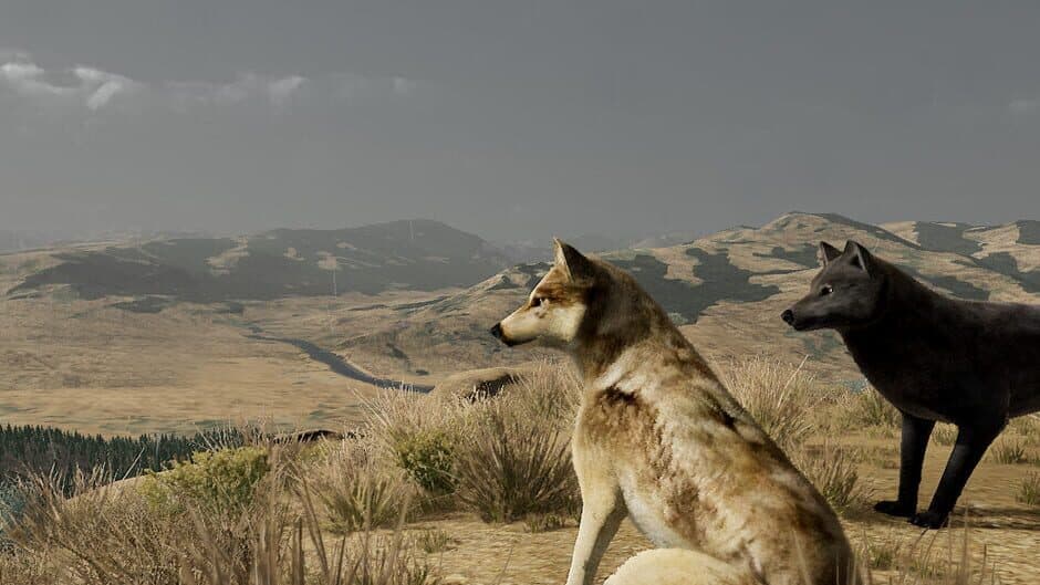 WolfQuest: Anniversary Edition artwork 2
