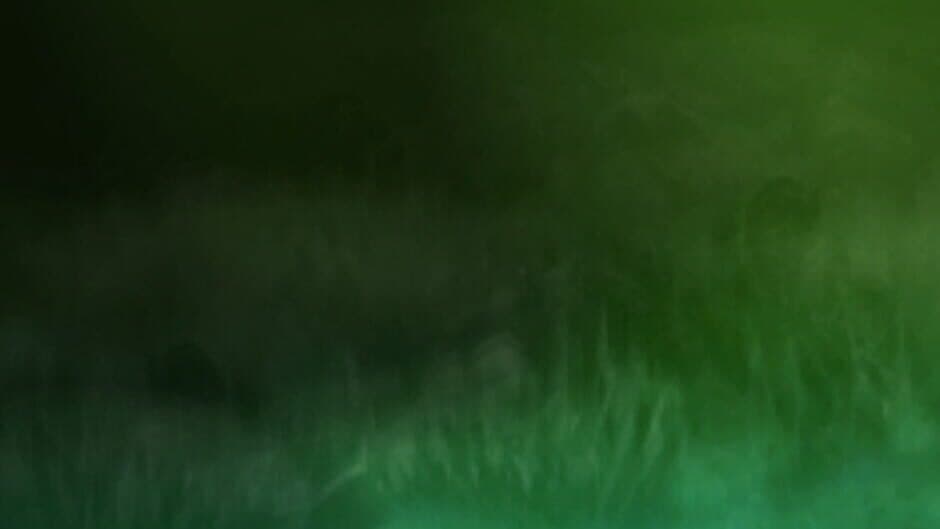 Catch 'Em artwork 1