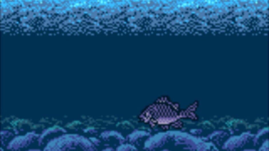 Legend of the River King 2 screenshot 1