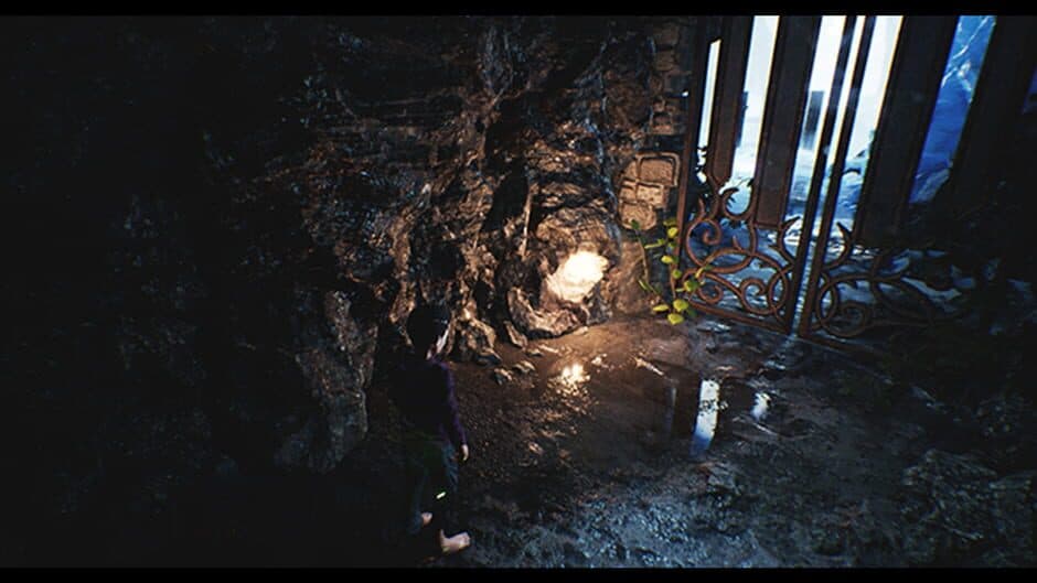 The Jimmy's Souls screenshot 4