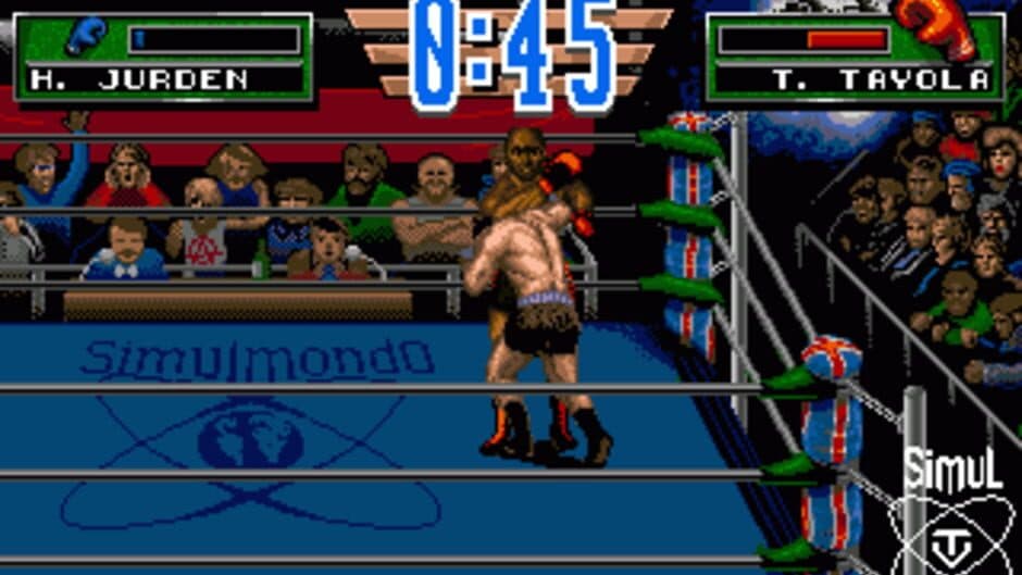 3D World Boxing screenshot 3