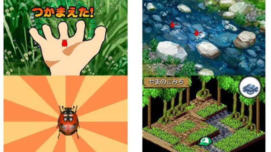 Beetle King screenshot 1