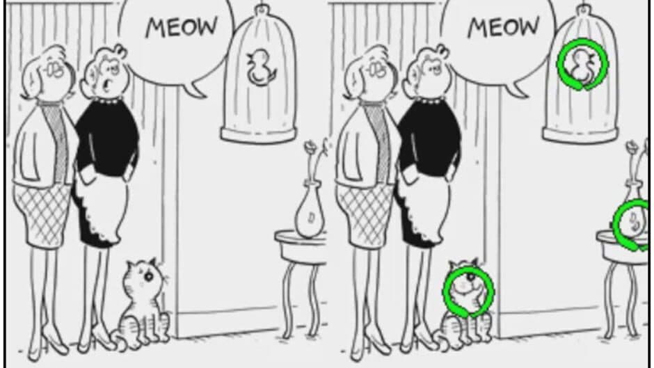 Heathcliff: Spot On screenshot 1