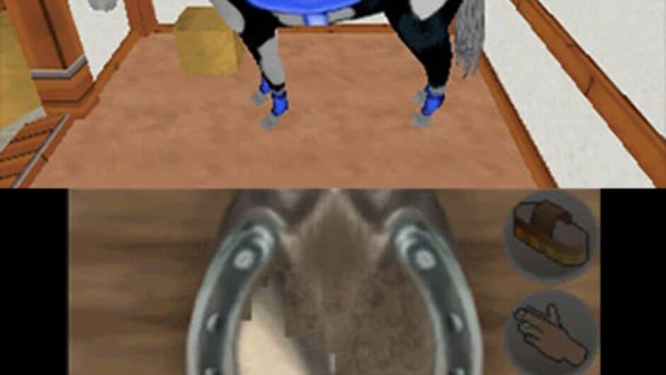 Riding Star 3D: Champion in Sattle screenshot 3