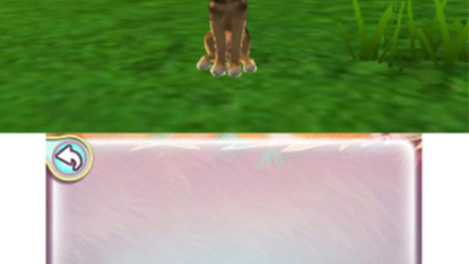 I Love My Dogs screenshot 2