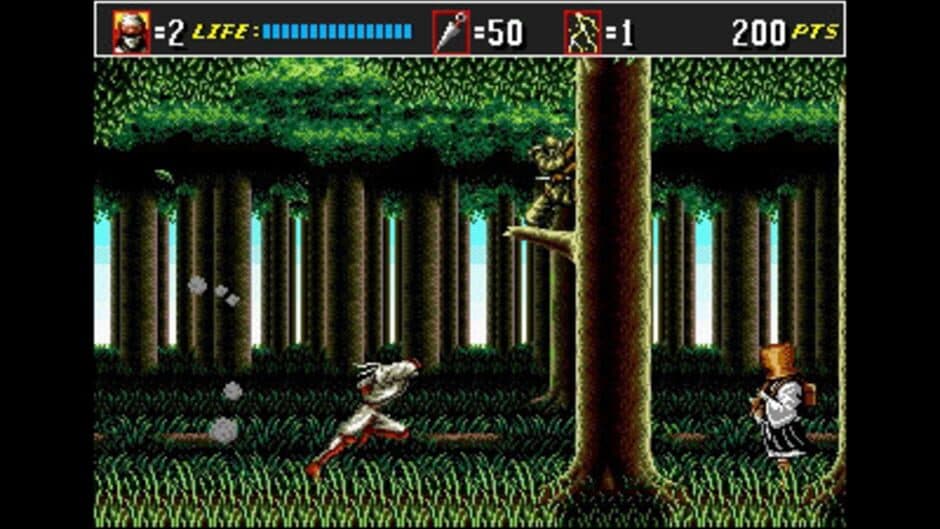 3D Shinobi III: Return of the Ninja Master screenshot 4