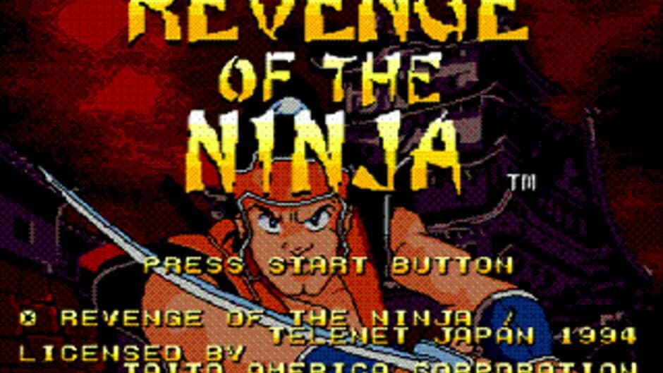 Revenge of the Ninja screenshot 1