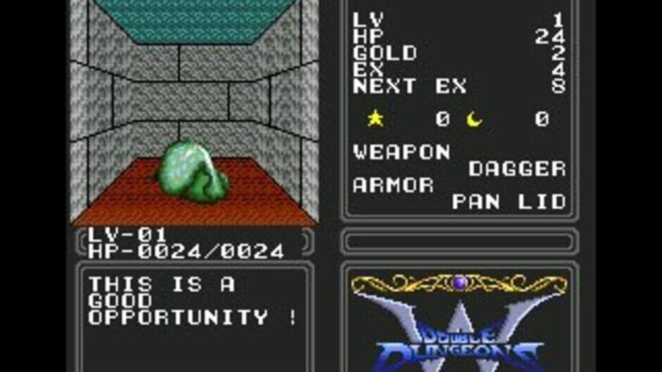 Double Dungeons screenshot 4