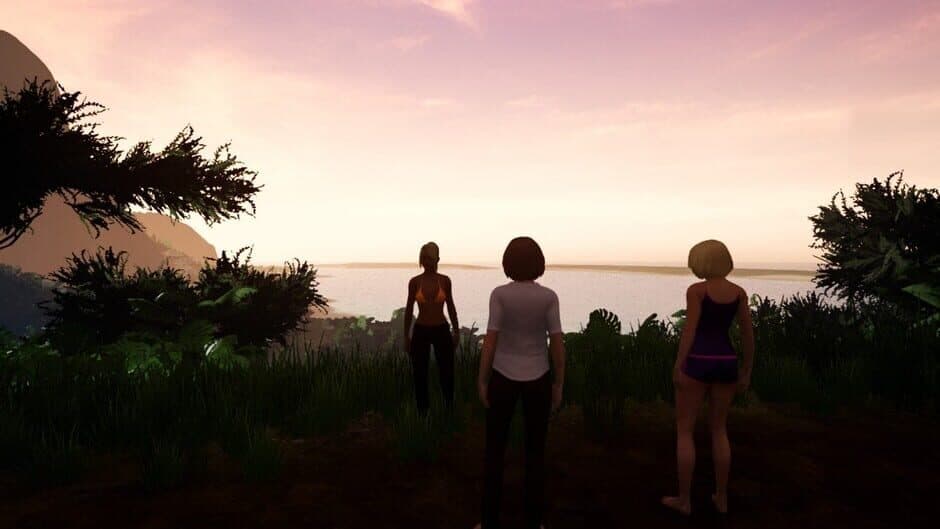 Capsa screenshot 1